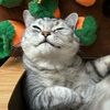 catwalkstudio